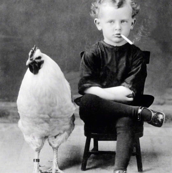 Meet your Posher, Ann - Picture 1 of 1